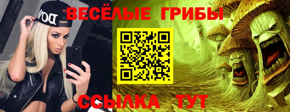 Псилоцибиновые грибы GOLDEN TEACHER  Галлюциногенные грибы Magic Shrooms  Вход с VPN  Кострома 