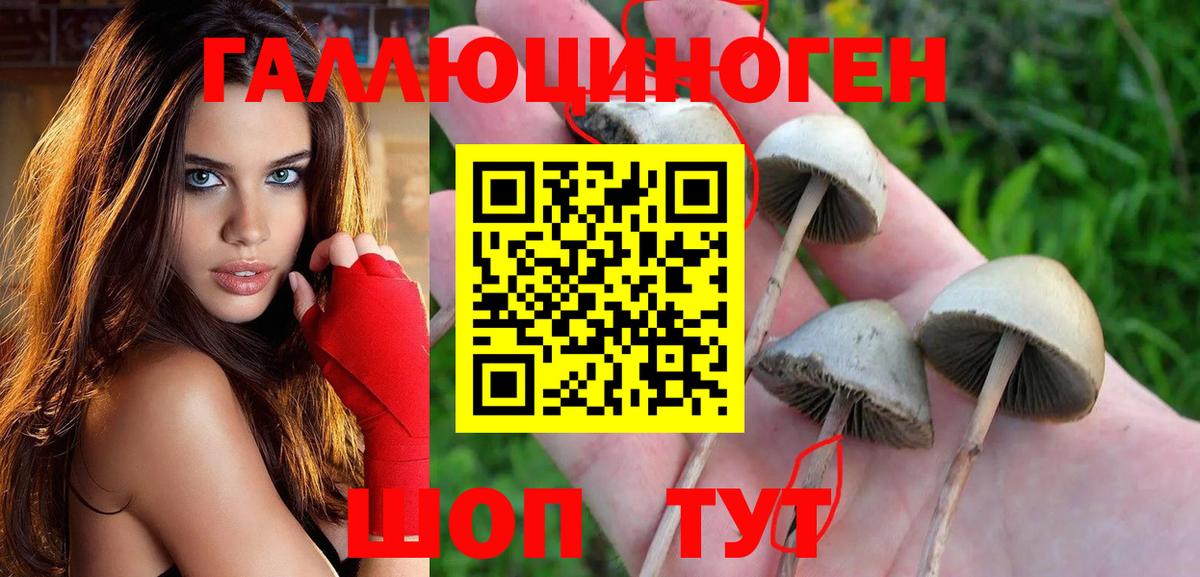 Псилоцибиновые грибы GOLDEN TEACHER Кострома